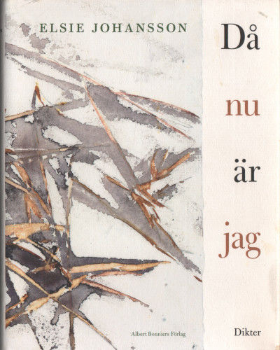 DÅ NU ÄR JAG.