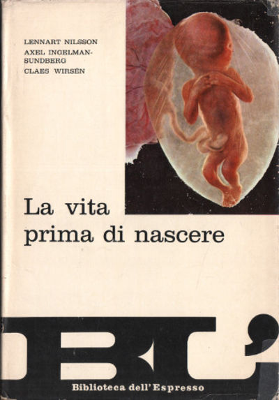 LA VITA PRIMA DI NASCERE.