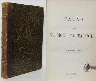 Fauna öfver Sveriges ryggradsdjur.