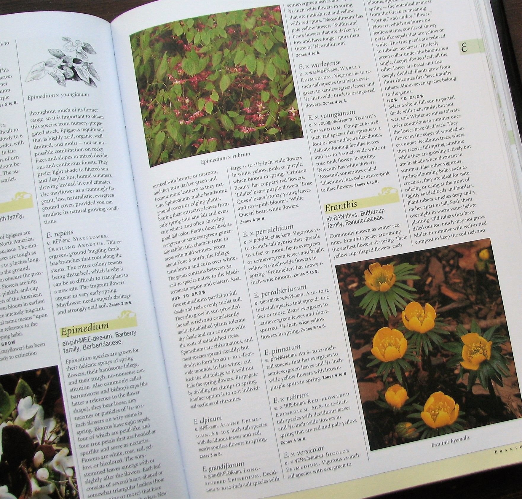 Enciclopedia de plantas de jardín taylors guids