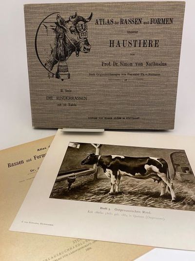 Atlas der Rassen und Formen unserer Haustiere. …