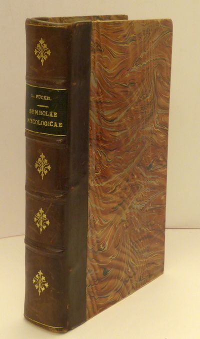 Symbolae mycologicae. Beiträge zur Kenntniss der…
