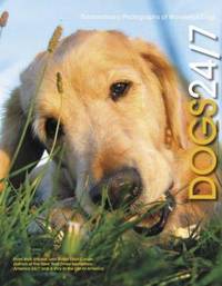 Dogs 24/7: Extraordinary Photographs of Wonderful Dogs
