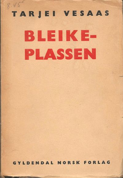 Bleikeplassen
