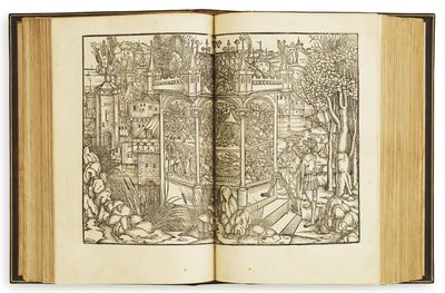 Opera cum quinque vulgatis commentariis…