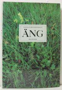 Äng.