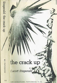 image of The Crack Up