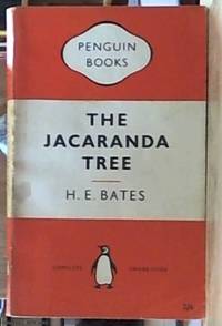 the Jacaranda tree