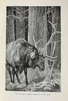View Image 4 of 4 for Hoof and Claw Inventory #2222723
