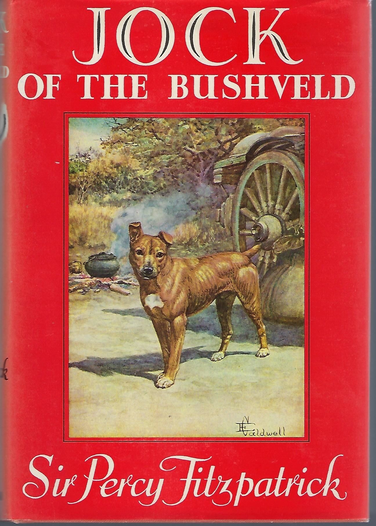 JOCK OF THE BUSHVELD BOOK