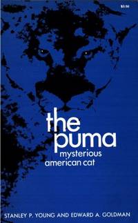 The Puma. Mysterious American Cat. Part I.…