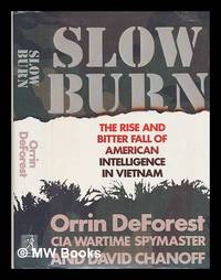Slow Burn : the Rise and Bitter Fall of American Intelligence in Vietnam