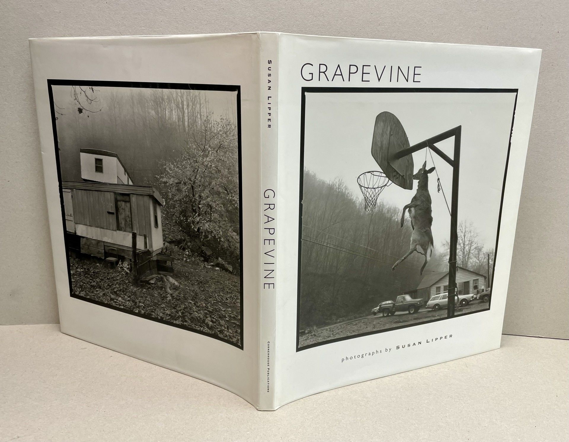 Grapevine ( signed ) by Susan Lipper | Hardcover | 1994
