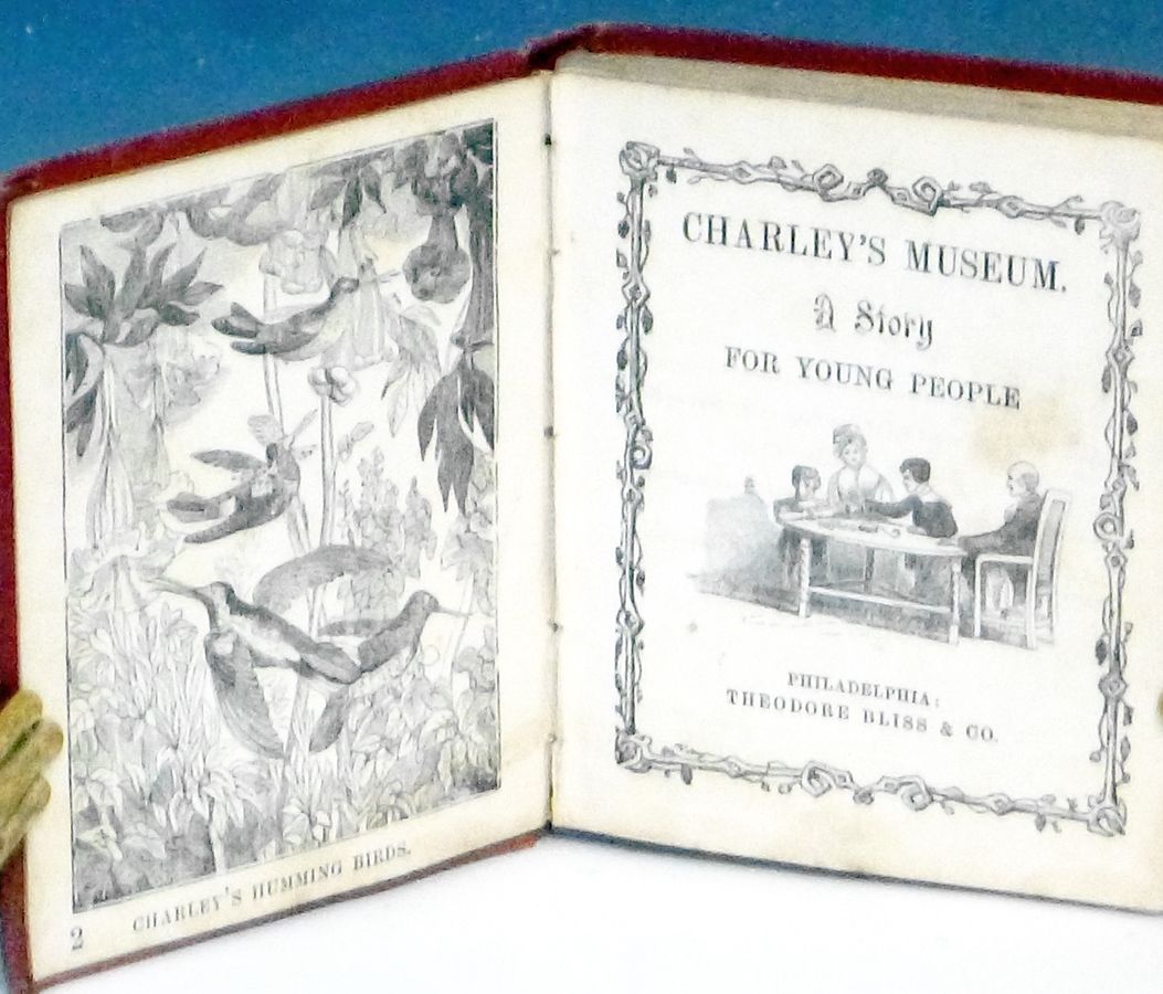 Charley's Museum; a Story for Young People