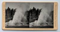 Riverside Geyser in Action. 4529. [Stereoview]