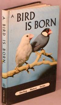 image of A Bird is Born (Sterling Nature Series).