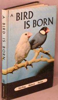 A Bird is Born (Sterling Nature Series).