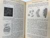View Image 6 of 10 for The Essentials of Physiology Inventory #16870