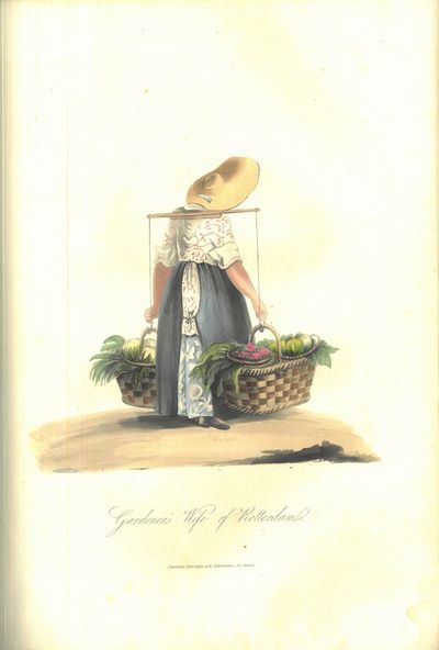 The costume of the Netherlands, displayed in thirty coloured engravings after drawings from nature by (...) with descriptions in English and French. (photo 3)
