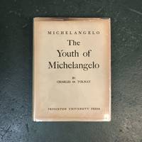 The Youth of Michelangelo