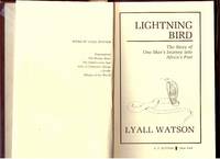 image of LIGHTNING BIRD