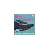 Baby Whale (Paperback) by Lynn Wilson