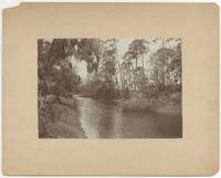 [Photograph, manuscript title in pencil, taken from verso]: "Canal Near Brunswick, Ga., taken from the R.R. bridge
