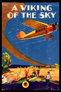 cover of A VIKING OF THE SKY - A Story of a Boy Who Gained Success in Aeronautics