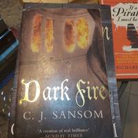 cover of Dark Fire