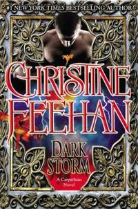 Dark Storm by Christine Feehan - 2012