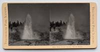 New Crater Geyser. Norris Basin. 4524. [Stereoview]