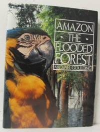 Amazon. The Flooded Past.