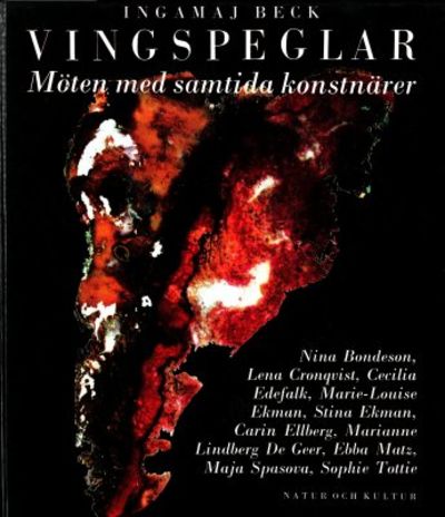 Vingspeglar. Möten med samtida konstnärer.