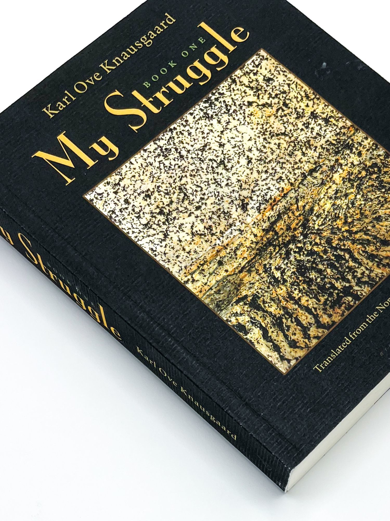 Confessions Of A Spanish Learner: My Struggle With "Lugar'S" Gender - tm5t21k
