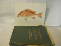 Fish and Game of the State of New York. Seventh Report. PORTFOLIO OF UNBOUND PRINTS