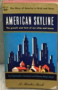 American Skyline