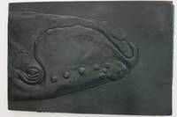 image of CETACEA. THE GREAT WHALES