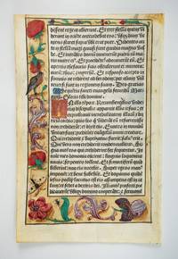 TEXT IN LATIN