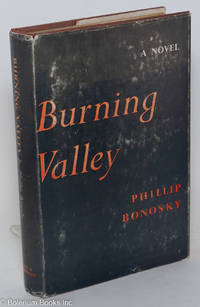Burning valley, a novel