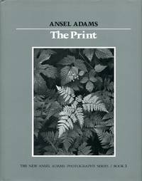 image of The Print : New Photography Series Book 3