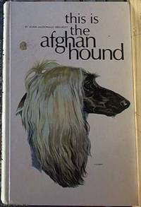 image of This Is the Afghan Hound
