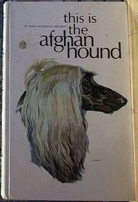 This Is the Afghan Hound