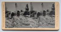 Grotto Geyser Formation. 4530. [Stereoview]