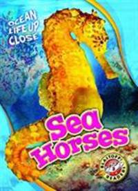 Sea Horses