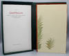 Exoticum: Twenty-five Desert Plants from the Huntington Gardens. Wood Engravings by Richard Wagener. Essay by Edwin Dobb.