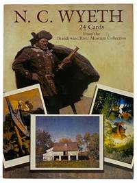 N.C. Wyeth 24 Cards from the Brandywine River Museum Collection (Dover Postcards) by [Wyeth, N.C.]; Podmaniczky, Christine B - 2000