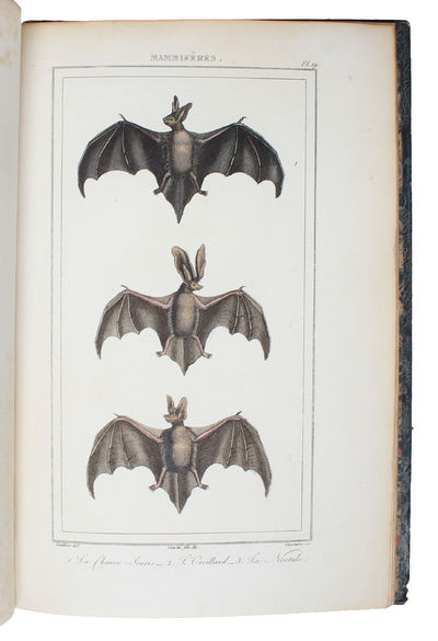 Oeuvres complétes de Buffon mises en Ordre et précédées d'une notice historiques par M.A. Richard suivies de deux Volumes sur les Progrès des Sciences physique et naturelles depuis la Mort de Buffon par M. le Baron Cuvier. 32 vols. (+) 2 vols of plate... (photo 6)