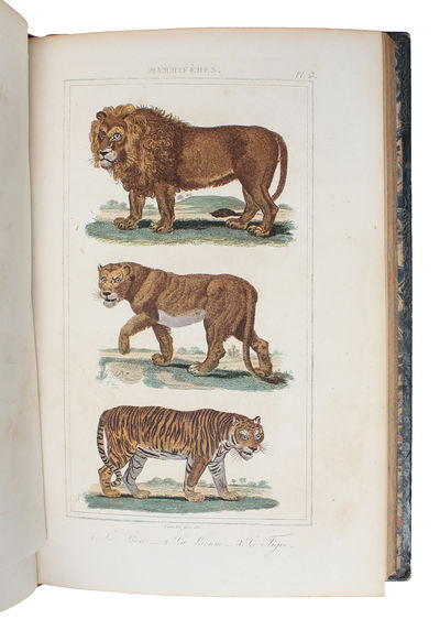Oeuvres complétes de Buffon mises en Ordre et précédées d'une notice historiques par M.A. Richard suivies de deux Volumes sur les Progrès des Sciences physique et naturelles depuis la Mort de Buffon par M. le Baron Cuvier. 32 vols. (+) 2 vols of plate... (photo 7)