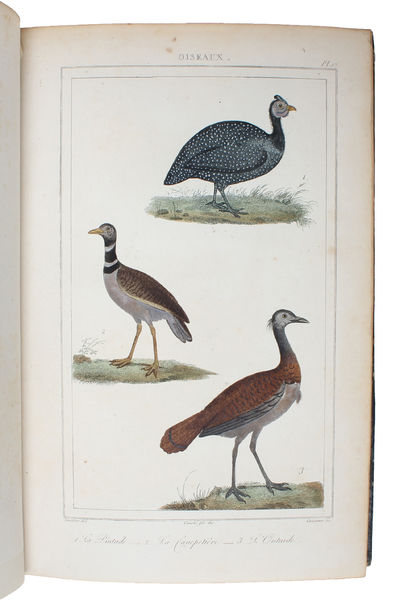 Oeuvres complétes de Buffon mises en Ordre et précédées d'une notice historiques par M.A. Richard suivies de deux Volumes sur les Progrès des Sciences physique et naturelles depuis la Mort de Buffon par M. le Baron Cuvier. 32 vols. (+) 2 vols of plate... (photo 8)