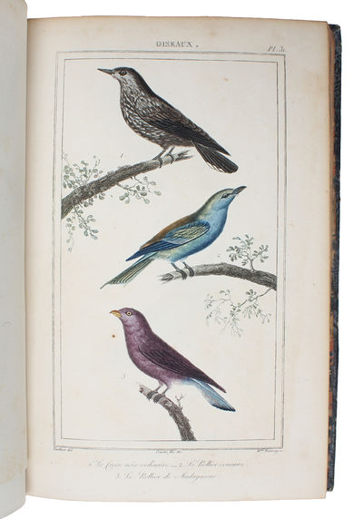 Oeuvres complétes de Buffon mises en Ordre et précédées d'une notice historiques par M.A. Richard suivies de deux Volumes sur les Progrès des Sciences physique et naturelles depuis la Mort de Buffon par M. le Baron Cuvier. 32 vols. (+) 2 vols of plate... (photo 9)